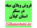 املاک هکتاری در استان گیلان - باغ کیوی هکتاری