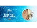 خط تولید و بسته بندی کنسرو تن ماهی و خورشت - کنسرو گربه ایرانی