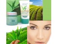 قویترین کرم سفید کننده و روشن کننده چای سبز - قویترین صاف کننده مو
