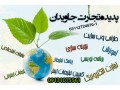آموزش .راه اندازی.پشتیبانی فروشگاه اینترنتی - پشتیبانی شبکه تبریز