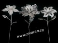 گل نقره اصفهان قیمت مناسب و کیفیت بی نظیر زیوران   - شغل بی نظیر