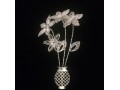 گل نقره - شاخه گل نقره - شاخه های رشته ی پزشکی