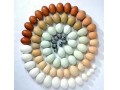 فروش تخم اردک و بلدرچین - اردک سفید پکنی