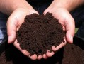 فروش کرم خاکی گونه ایزنیا - حجم عملیات خاکی