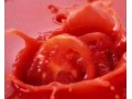 فروش تخصصی رب گوجه فرنگی - گوجه