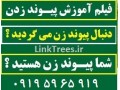 سایت آموزش پیوند درختان - درختان موجود در تهران