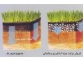 مزایای استفاده از پرلیت کشاورزی و باغبانی زمین کاو  - مزایای داشتن کد اقتصادی درخواست مشاوره کد اقتصادی در استان تهران