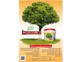 اولین و برترین تولید کننده محافظ تنه درخت - اسم درخت