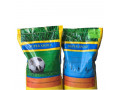 فروش بذر چمن آفریقایی –  هر کیلو بذر چمن برای چند متر 09195284072 - جک گیربکس درآر 500 کیلو