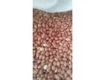 فروش مغز بادام زمینی سودانی به طور مستقیم و بدون واسطه - بادام شکن صنعتی