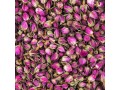 خرید و فروش عمده انواع  غنچه گل محمدی - مهر محمدی