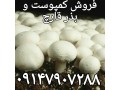 فروش بهترین نوع کمپوست قارچ، خاک پوششی قارچ و مرغوب ترین نوع بذر قارچ و کلیه خدمات پرورش قارچ خوراکی - بهترین کلیپ های ایرانی