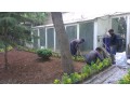 محوطه سازی و باغبانی تخصص ماست - باغبانی گلکاری