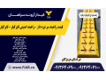Icon for قیمت راهبند سر نیزه دار -راهبند امنیتی تایرکیلر- تایرکیلر 
