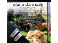  فروش سگ روتوایلر در تهران  - پانسیون سگ آریا کنل 