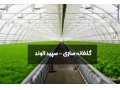 شرکت گلخانه ساز سپید الوند - گلخانه سازی - گلخانه اسپانیایی | نصب گلخانه - برق الوند