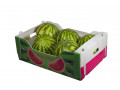 تولید کارتن بسته بندی هندوانه - برش هندوانه