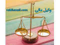 Icon for وکیل مالی