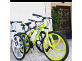 دوچرخه تعاونی اسپورت ساخت تایوان - حمل دوچرخه