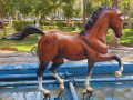 اسب فایبرگلاس با آناتومی اسب واقعی - آناتومی