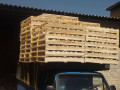 تولید وپخش پالت چوبی بابهترین کیفیت09190107631