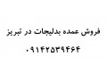 Icon for فروش عمده بدلیجات در تبریز