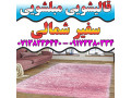 قالیشویی مبلشویی سفیر شمالی موکت مبل قالی شویی شیراز