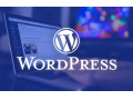 AD is: آموزش طراحی سایت با برنامه ورد پرس (WordPress)  - مشهد