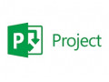 Icon for Microsoft Project 2019 اورجینال - فروش لایسنس مایکروسافت پروجکت 2019 - فروش لایسنس Microsoft Project 2016