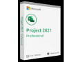 Icon for لایسنس پروجکت 2021 پروفشنال - پروجکت 2021 پروفشنال اورجینال - Project Professional 2021 - لایسنس اورجینال پروجکت 2021 پروفشنال
