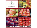 چاپ و فروش لیبل میوه ، برچسب میوه - 09395700736