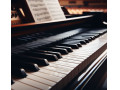 آموزش پیانو از پایه تا پیشرفته توسط استاد مهدیس فرخی