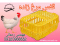 Icon for فروش سبد مرغی ارزان قیمت