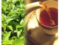 فروش چای ایرانی لاهیجان در کاشان و اصفهان 09111459401 - لاهیجان زمین