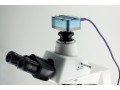 انتقال تصویر میکروسکوپ به کامپیوتر - انتقال شن ماسه