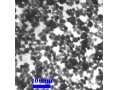 فروش نانو ذرات اکسید آهن - نانو ذرات هماتیت - Nano Fe2O3 - ذرات کوپر نانو