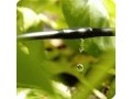 آبیاری باغ مرکبات توجه عمومیت کاربرد روش سنتی - کاربرد دینامیک