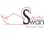 لیزر پلکسی ، دستگاه لیزر پلکسی swan