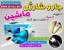 جارو برقی ماشین