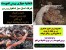 اتحادیه ورمی کمپوست آسان سبز
