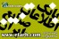 بانک اطلاعات کلیه واحد های تولید کننده ماشین آلات کشاورزی و جنگلداری برای اماده سازی خاک و قطعات کشور