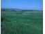 فروش فوری زمین زیر قیمت کلاردشت ، روستای حریث