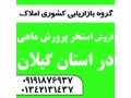 Icon for فروش استخر پرورش ماهی در استان گیلان