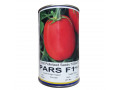 قیمت بذر گوجه فرنگی پارس F1 ،  خرید بذر گوجه پارس آمریکایی