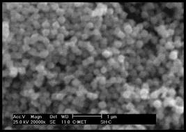 نانو سلنیوم کاربرد نانو ذرات سلنیم Nano_Se