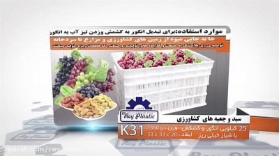  تولید و فروش سبد 20 کیلویی درجه یک 