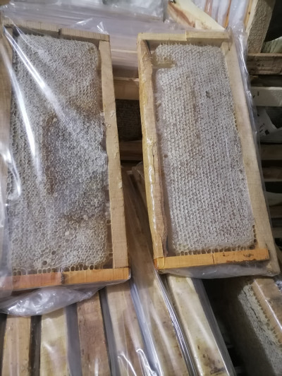 فروش عمده عسل مرغوب سبلان 