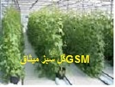 تولید گلخانه -صادرات گلخانه-ساخت گلخانه-قیمت سازه گلخانه