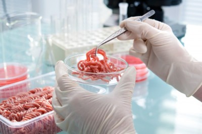 تجهیز آزمایشگاه همبرگر وفرآورده های گوشتی وپروتئینی
