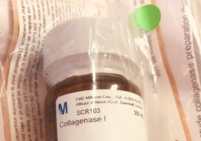 collagenase scr 103 merck 